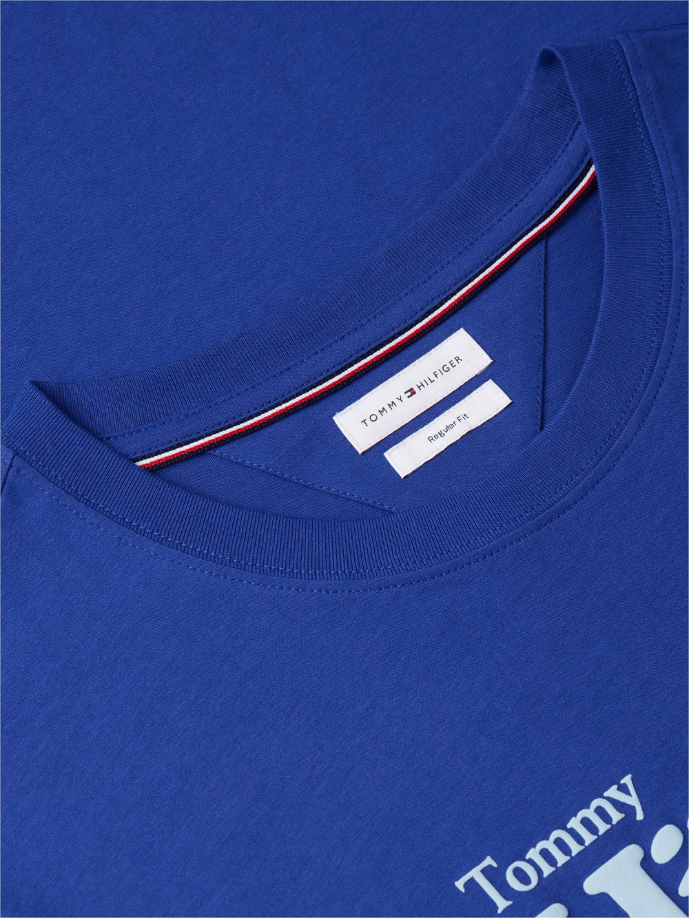 Regular Fit Graphic Tshirt