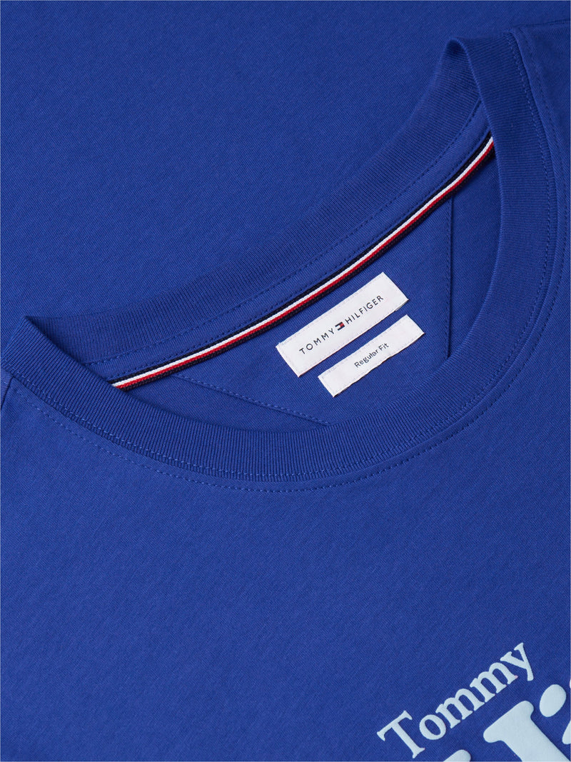 Regular Fit Graphic Tshirt