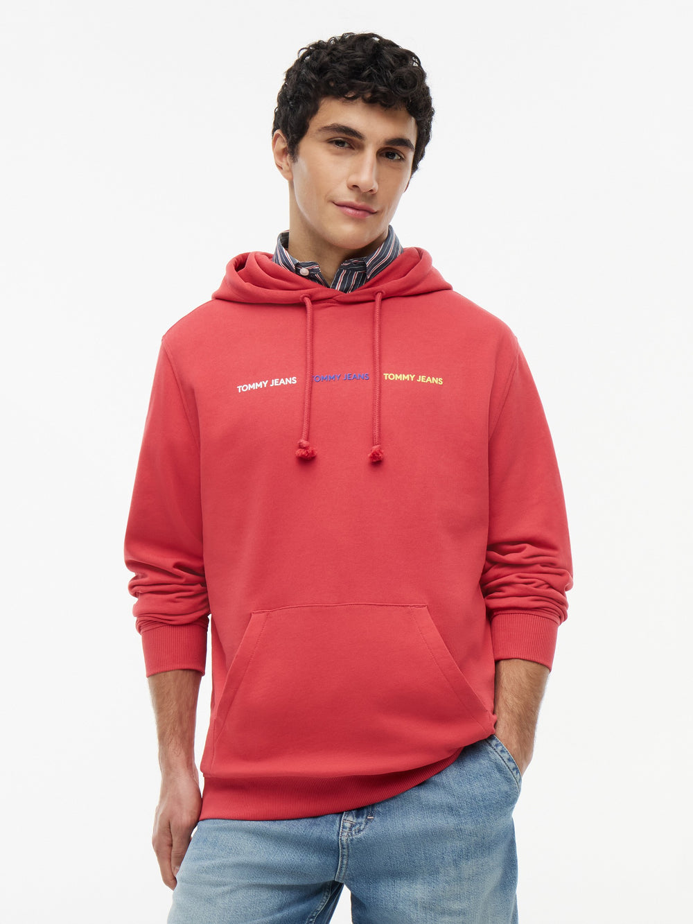 Regular Fit Terry Hooded Sweatshirt