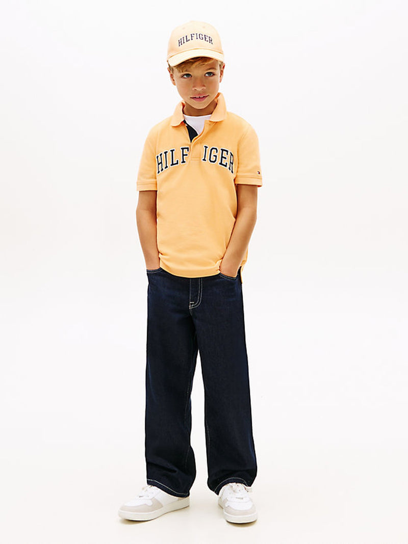 Kids Hilfiger Graphic Polo