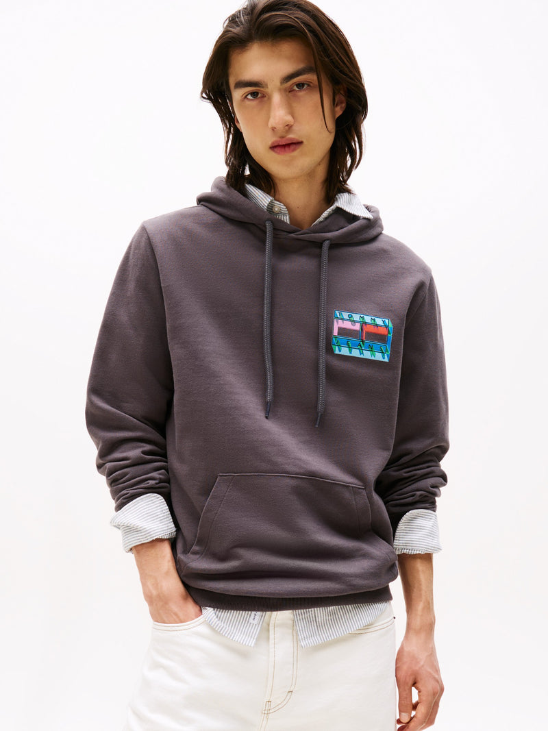 Regular Fit Terry Hooded Sweatshirt