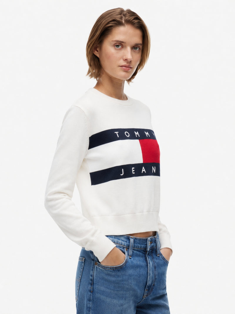 Full Sleeve Regular Fit Pullover