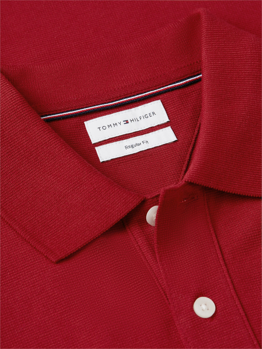 Regular Fit Graphic Pique Polo