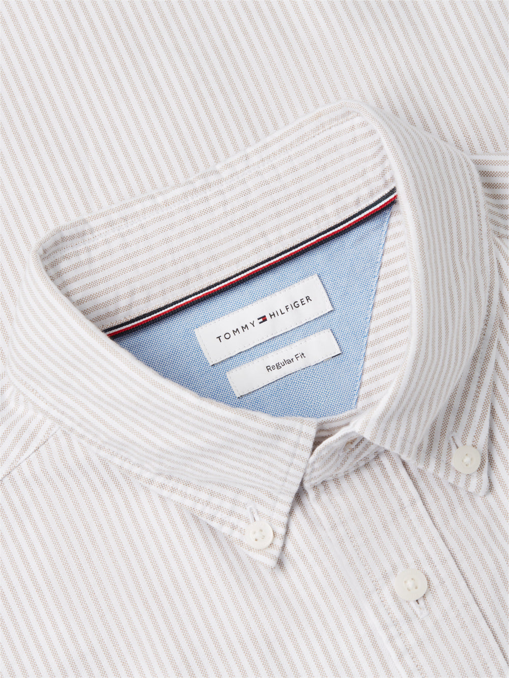 Regular Fit Stripe Oxford Shirt