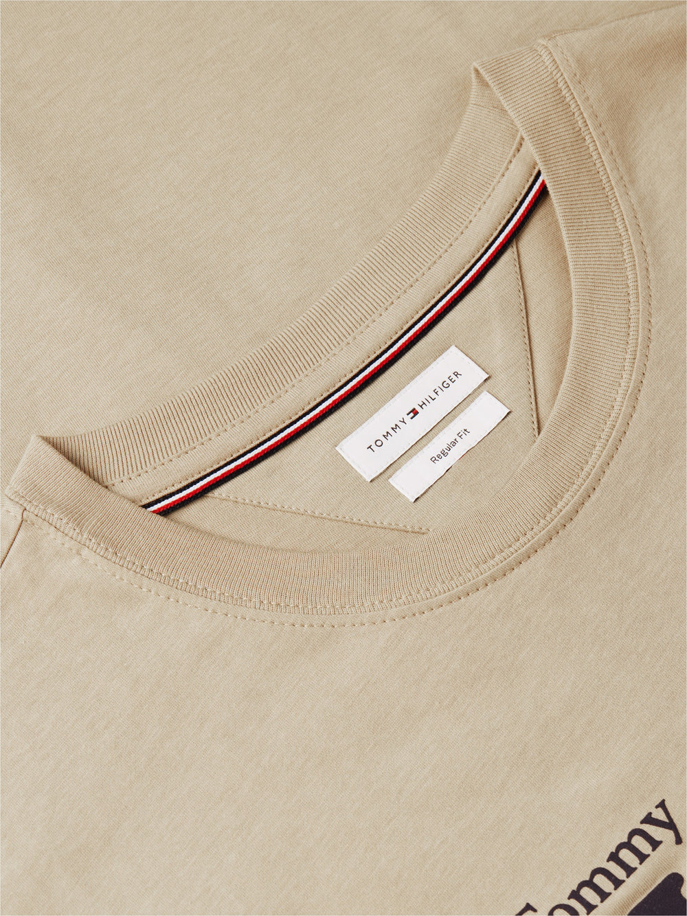 Regular Fit Graphic Tshirt