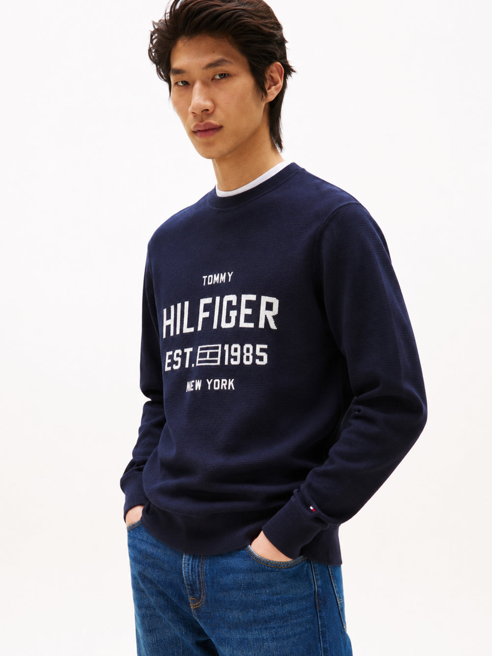 Regular Fit Crew Neck Pullover