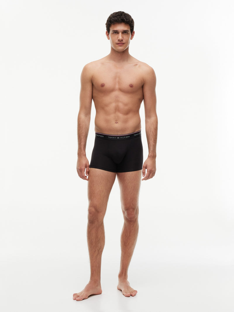 3 Pack Global Stripe Trunk