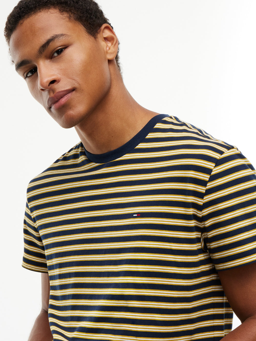 Regular Fit Stripe T-Shirt