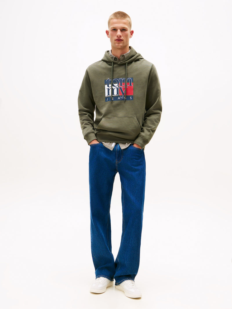 Regular Fit Terry Hooded Sweatshirt