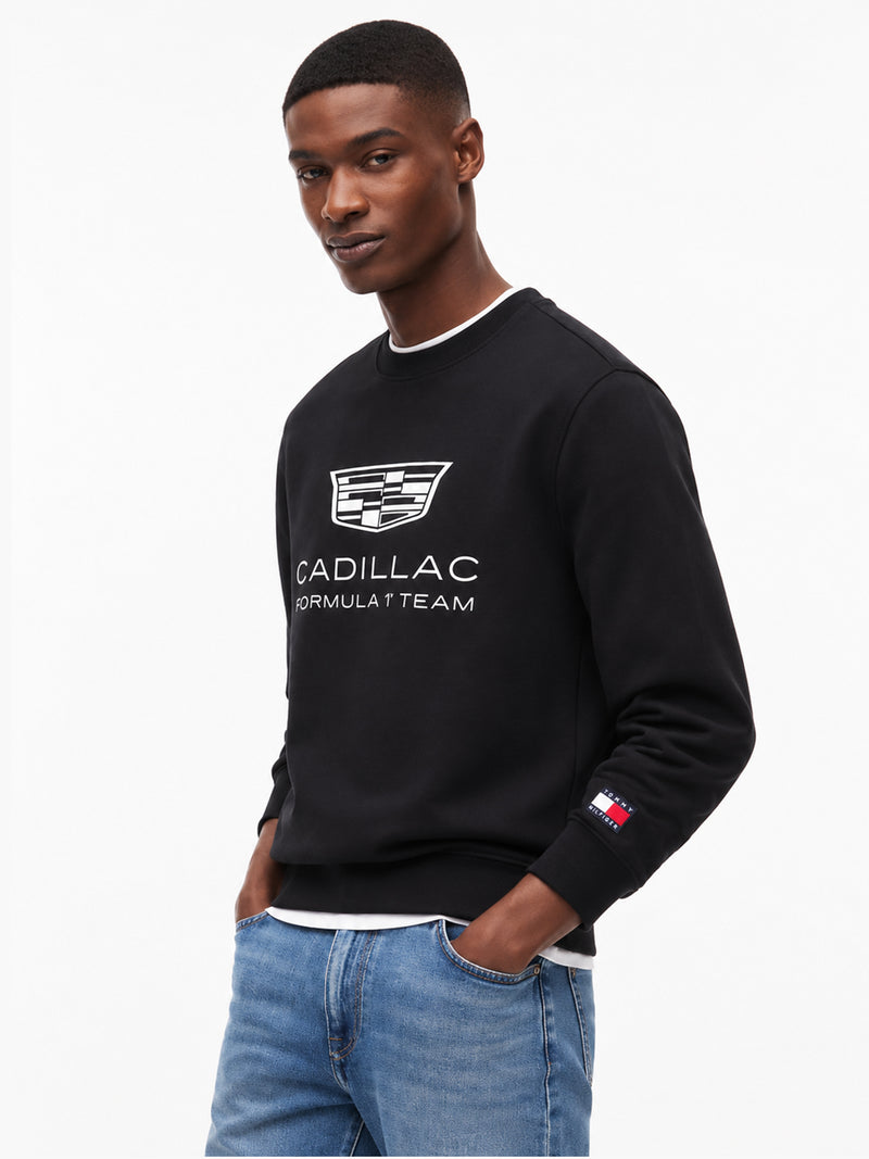 Regular Fit Cf1 Pullover