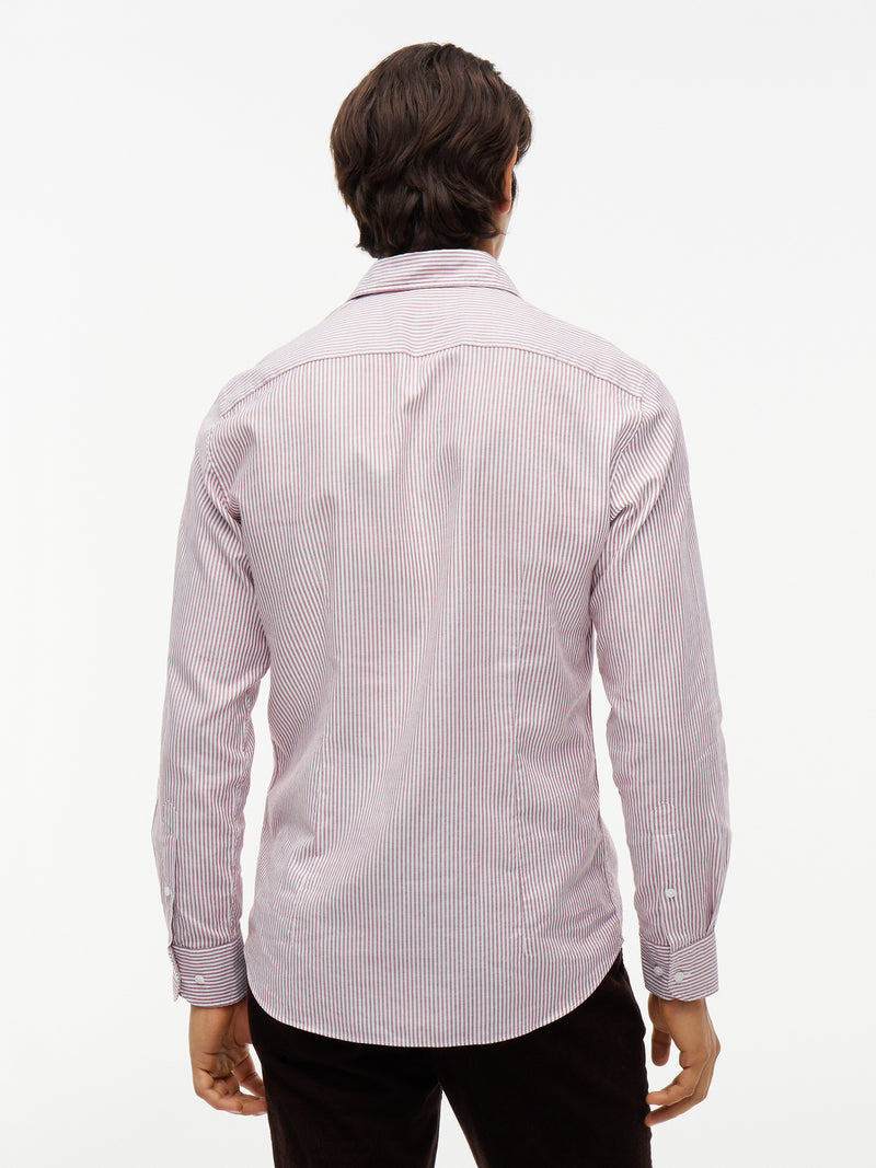 Slim Fit Stripe Oxford Shirt