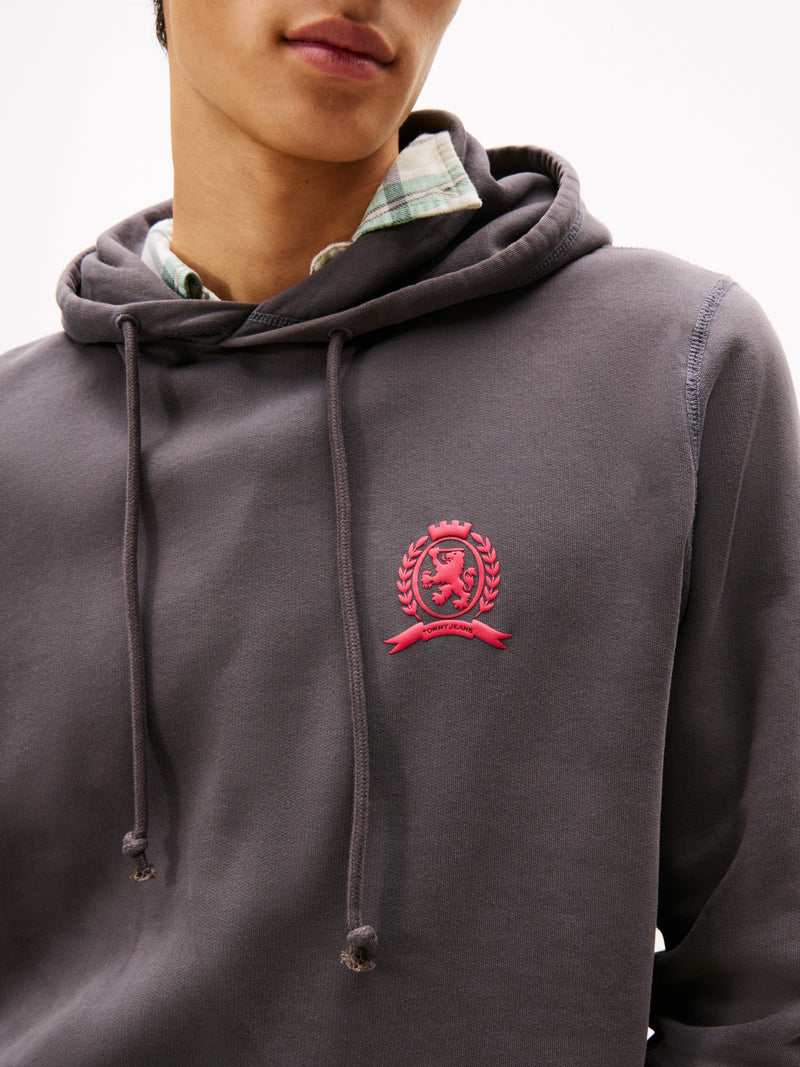 Regular Fit Brushed Fleece Hooded Sweatshirt