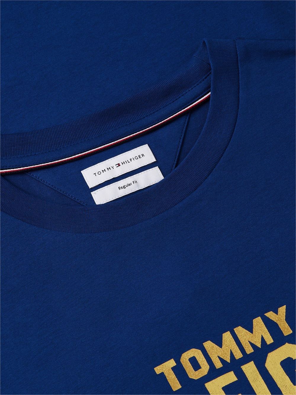 Regular Fit Graphic Print Tshirt