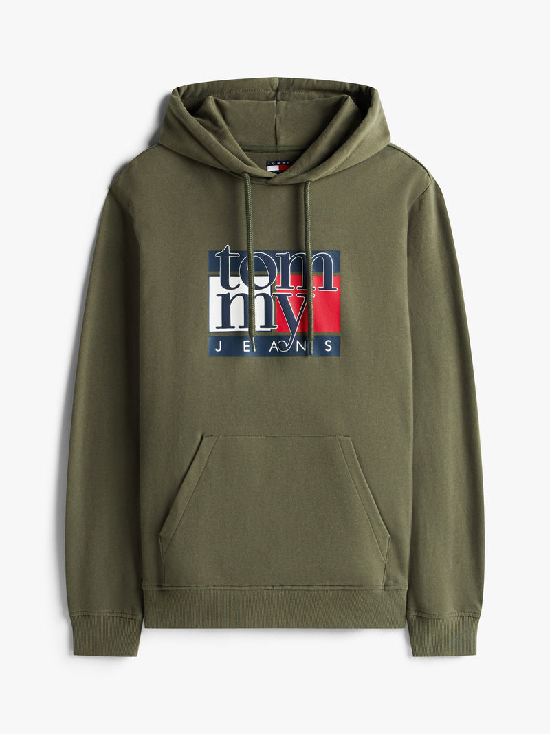 Regular Fit Terry Hooded Sweatshirt