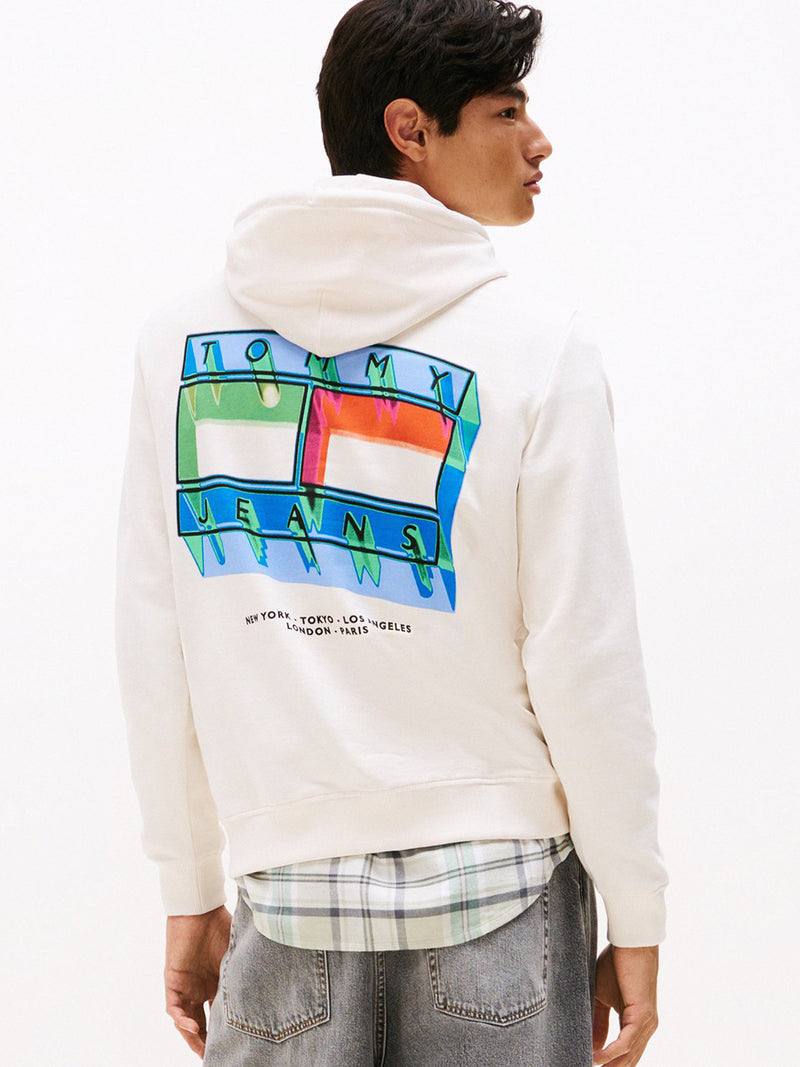 Regular Fit Terry Hooded Sweatshirt