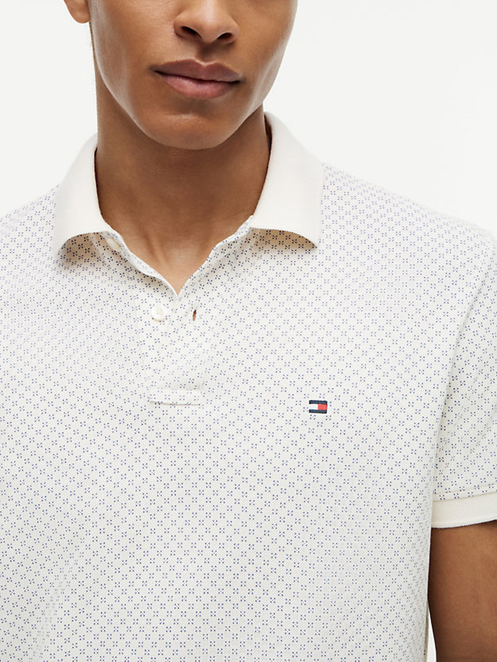 Regular Fit Printed Polo