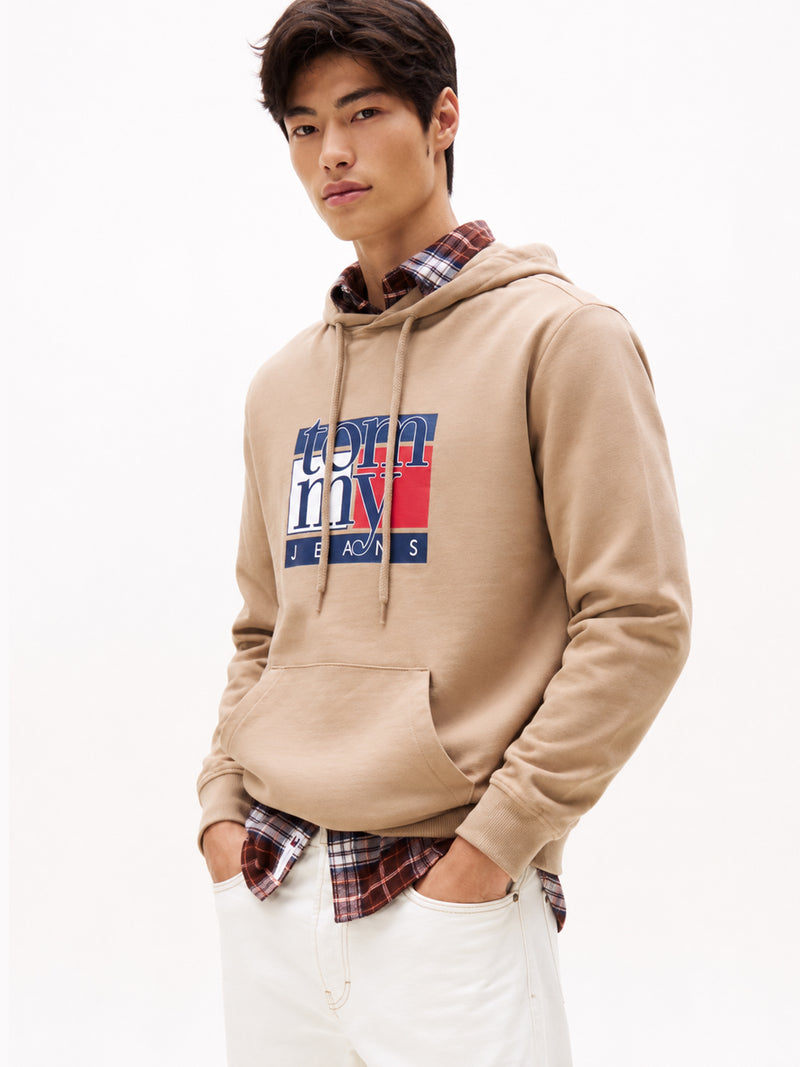 Regular Fit Terry Hooded Sweatshirt