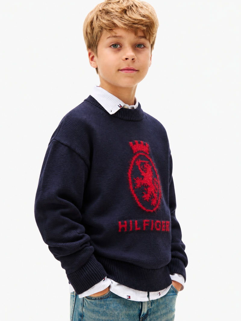 Kids Crew Neck Sweater