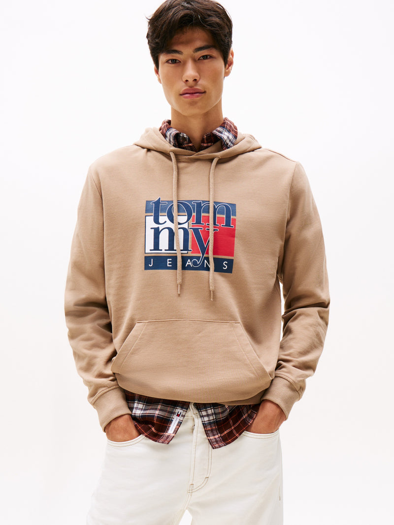 Regular Fit Terry Hooded Sweatshirt