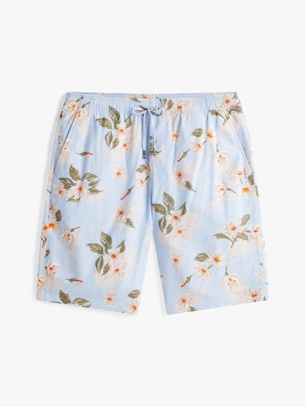 Men Relaxed Fit Print Twill Shorts