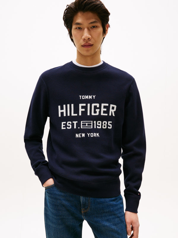 Regular Fit Crew Neck Pullover