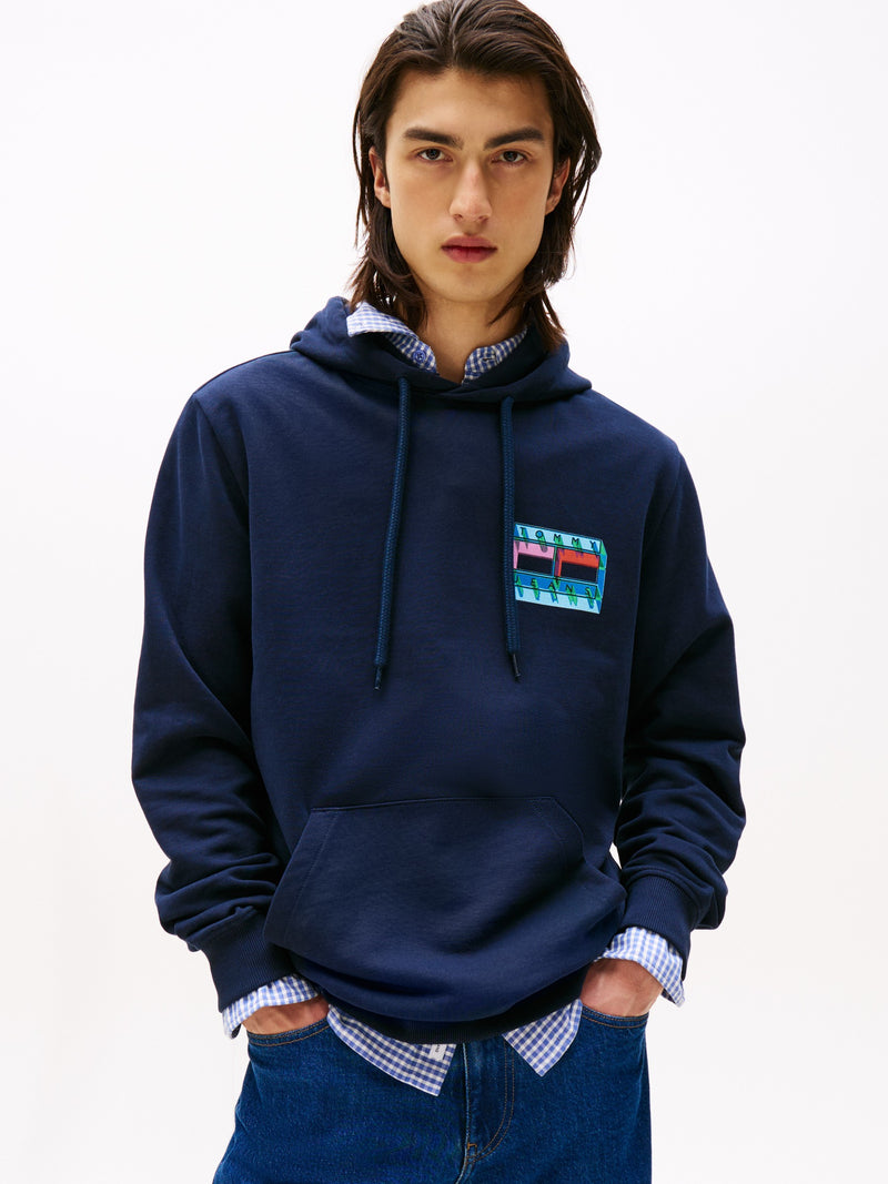 Regular Fit Terry Hooded Sweatshirt