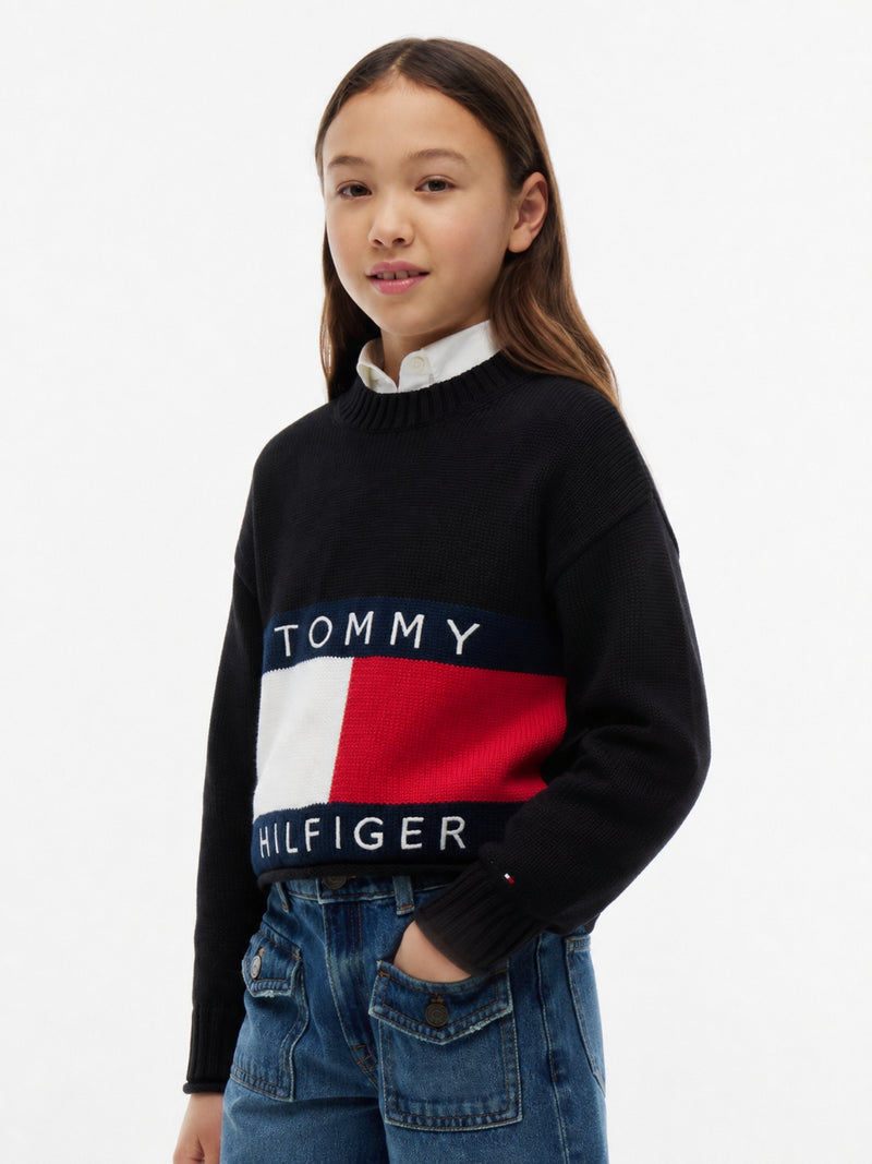Kids Flag Logo Sweater