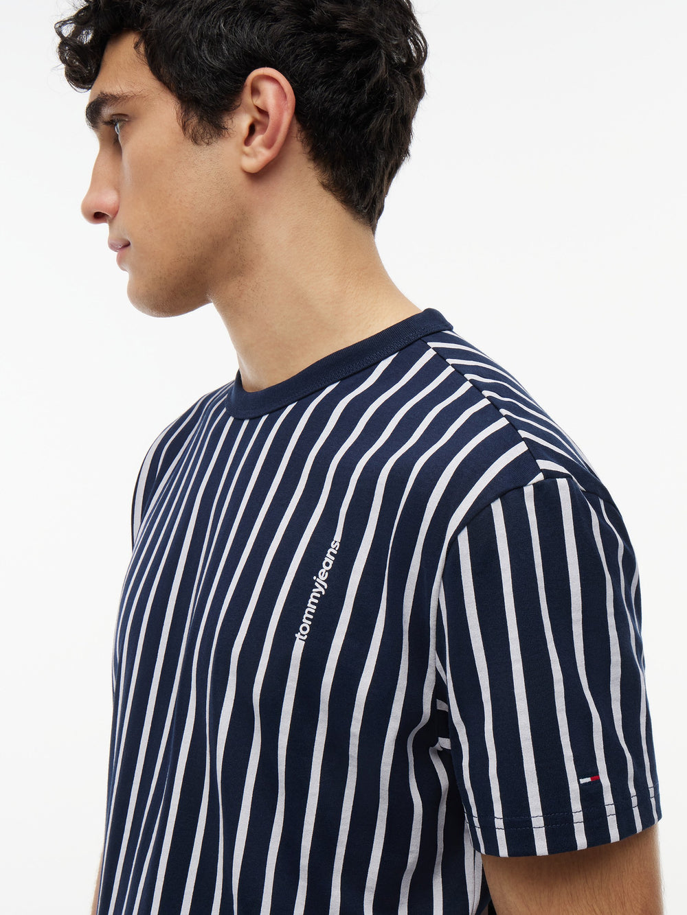 Regular Fit Stripe T-Shirt