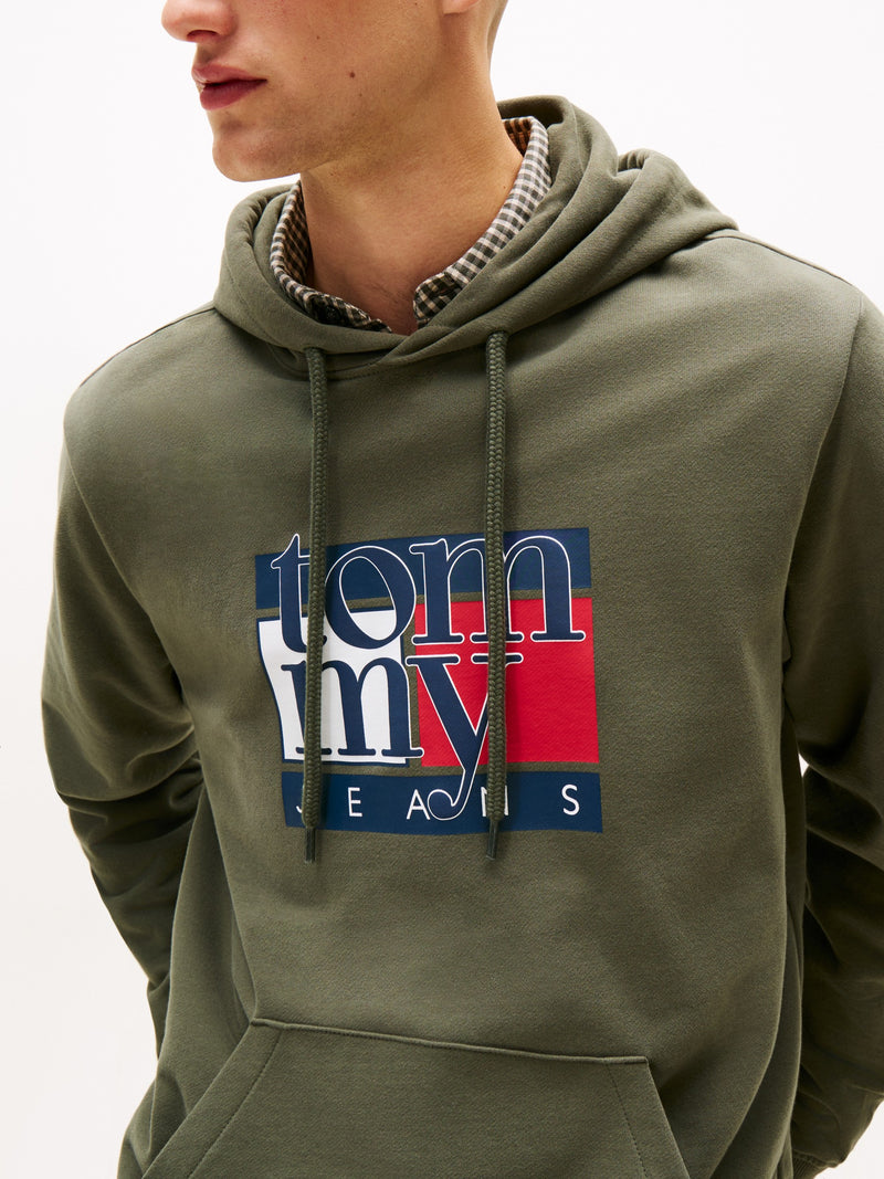 Regular Fit Terry Hooded Sweatshirt