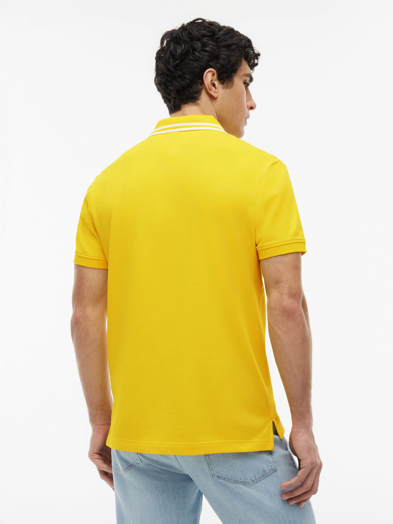Regular Fit Graphic Pique Polo