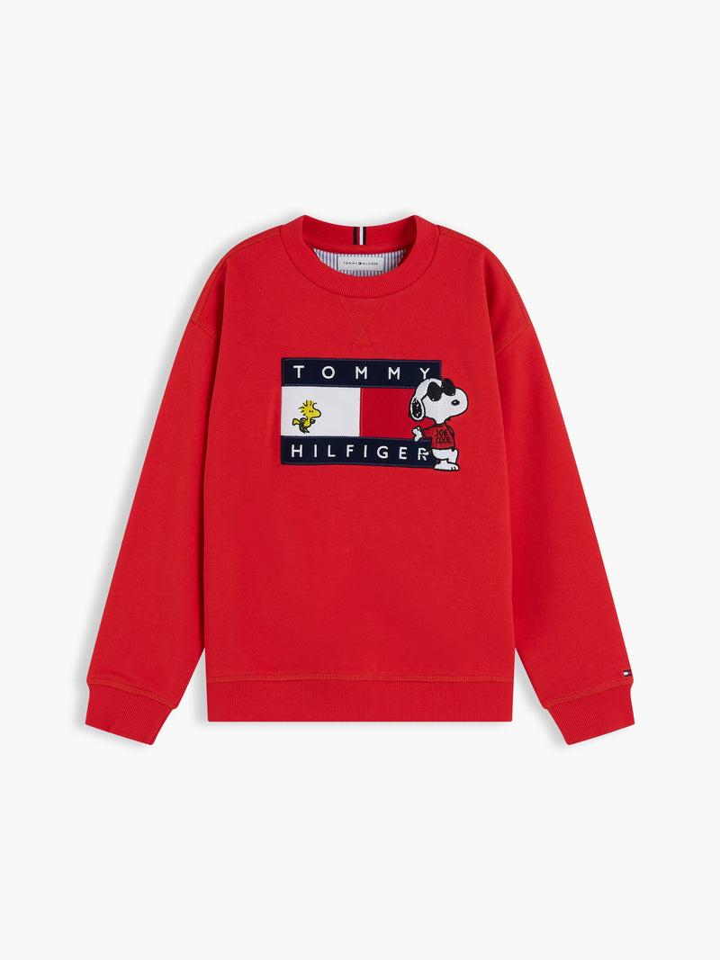 Kids Peanut Flag Logo Sweatshirt
