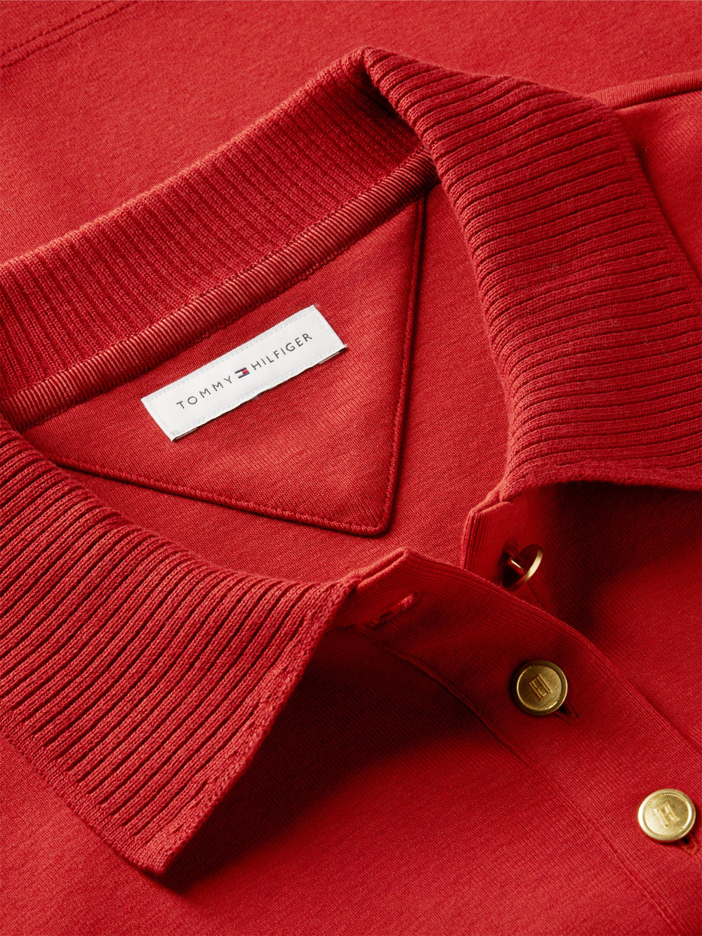 Solid Regular Fit Half Sleeve Cody Polo