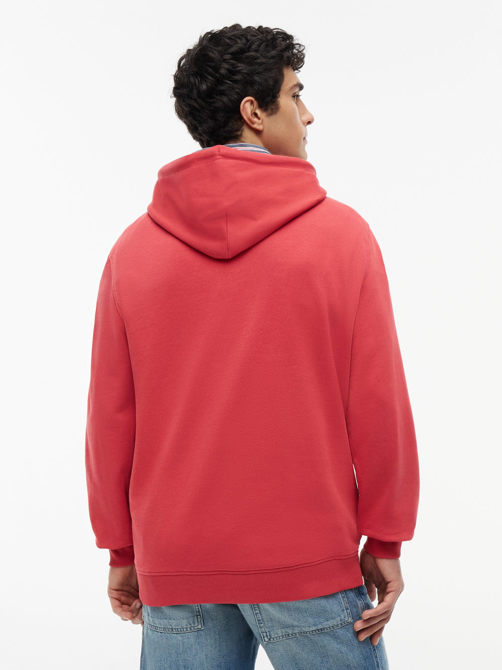 Regular Fit Terry Hooded Sweatshirt