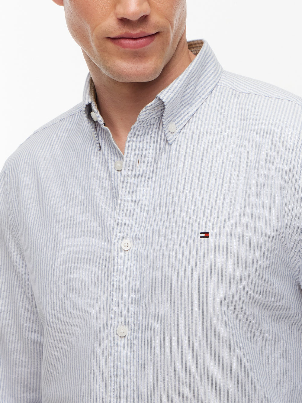 Regular Fit Stripe Oxford Shirt