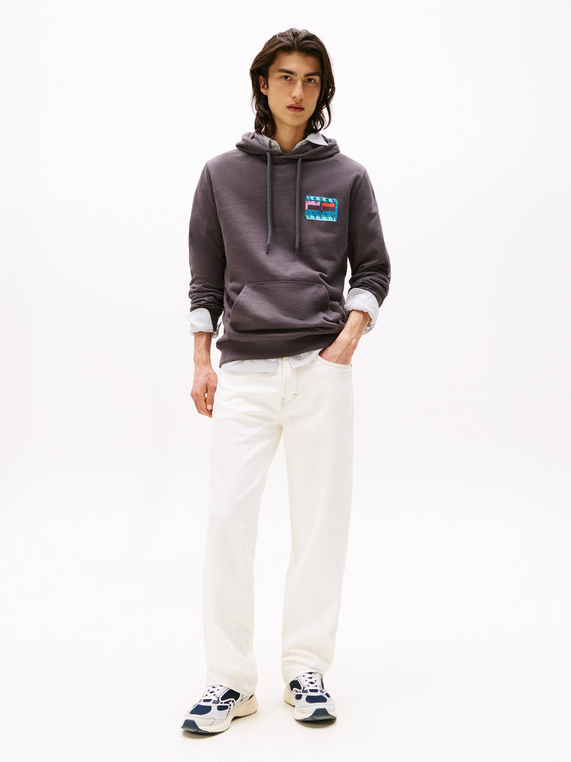 Regular Fit Terry Hooded Sweatshirt