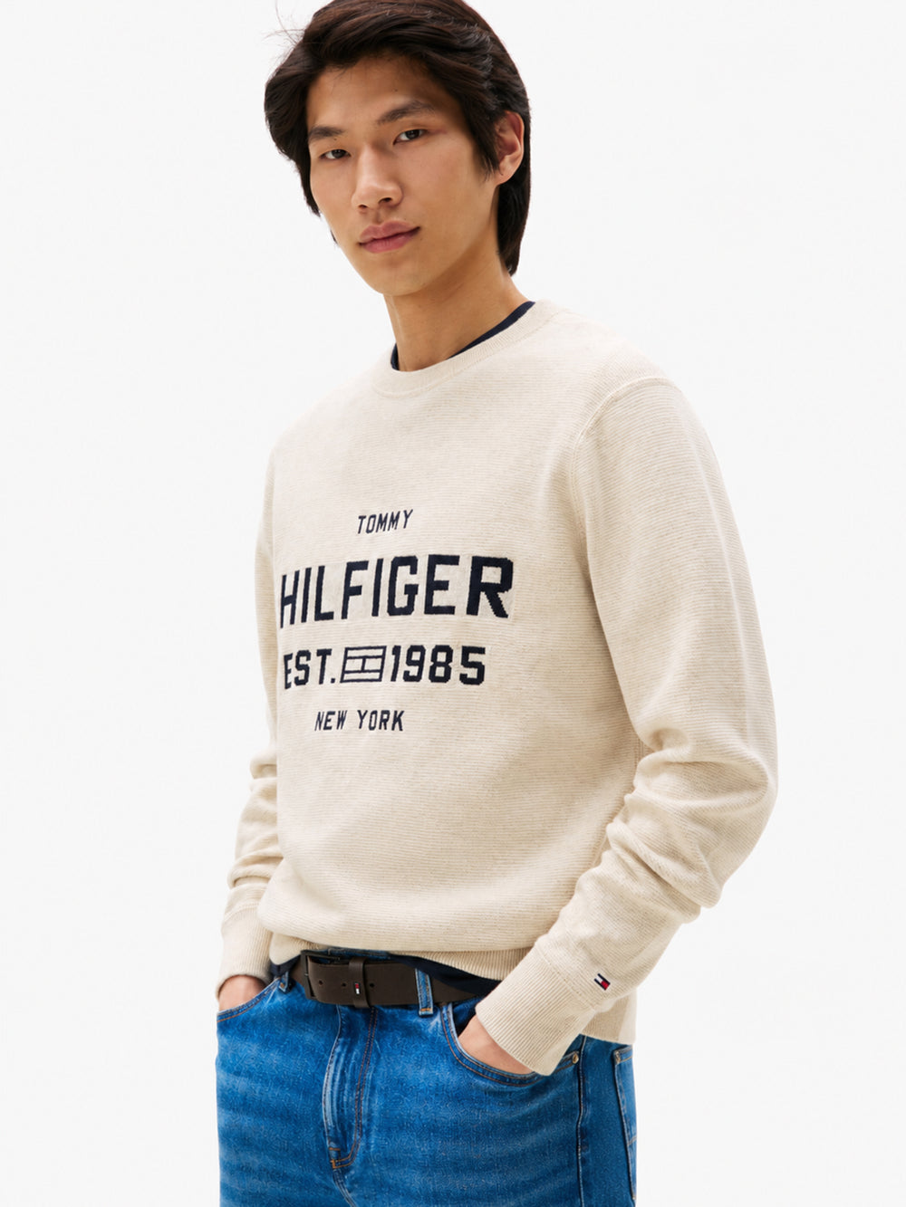 Regular Fit Crew Neck Pullover
